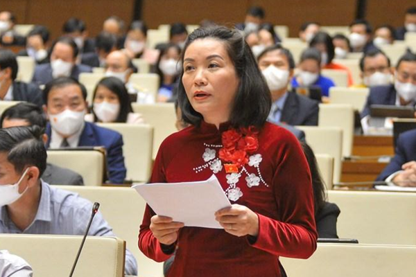 Tận dụng cơ hội cho phục hồi và phát triển du lịch trong giai đoạn bình thường mới - Anh 1