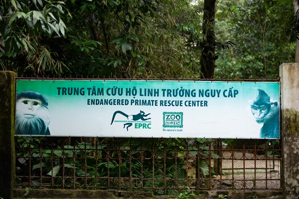 Cúc Phương, kho báu thuở hồng hoang (Bài 1): 