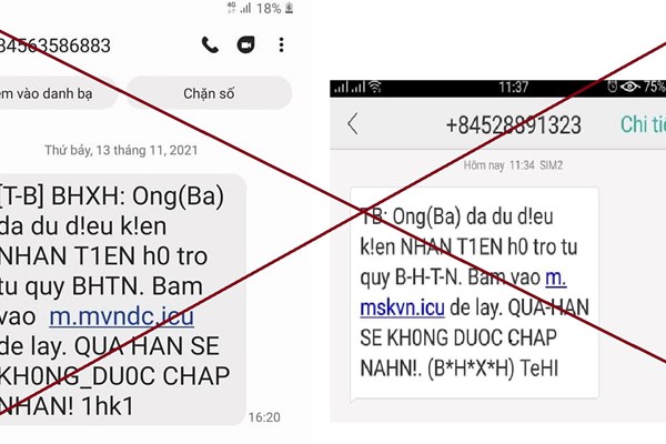 Bảo hiểm xã hội VN lại cảnh báo nhắn tin lừa đảo - Anh 1