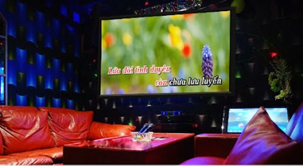 TP.HCM: Tiếp tục dừng hoạt động các dịch vụ karaoke, vũ trường, quán bar, massage, spa - Anh 2