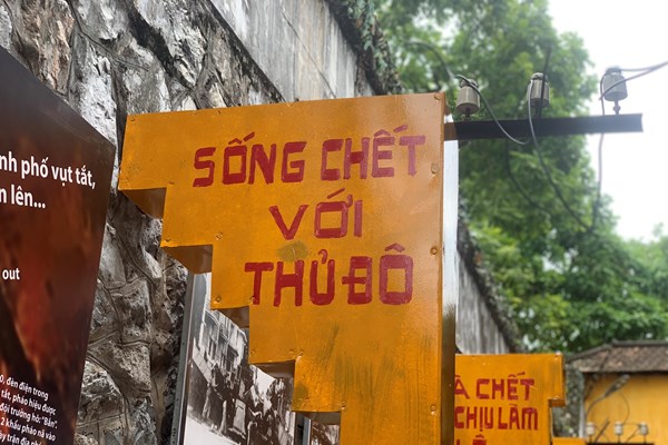 Trưng bày 
