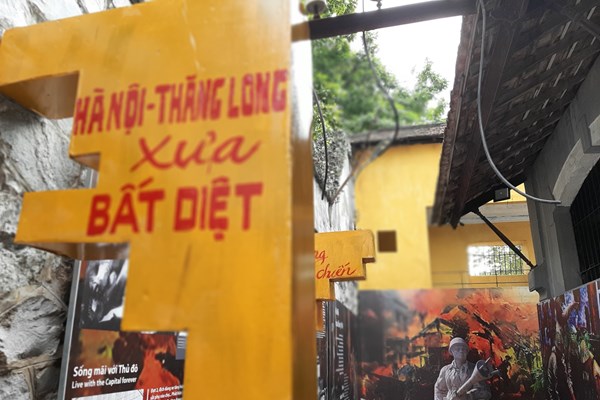 Trưng bày 