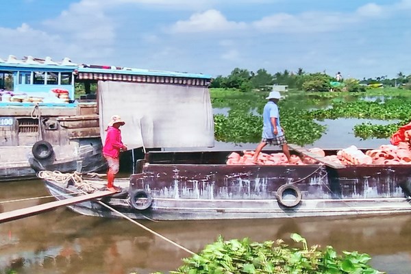 Bình Dương: Công bố hiện vật là bảo vật quốc gia và hai di sản văn hoá phi vật thể quốc gia - Anh 3