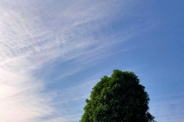 Đón Giáng sinh “Ấm & Yêu” thắp sáng hạnh phúc cùng Tập đoàn Mường Thanh - Anh 5