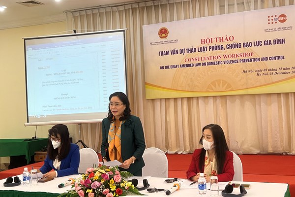 Luật Phòng, chống bạo lực gia đình (Sửa đổi): Nâng cao các giải pháp phòng ngừa - Anh 1