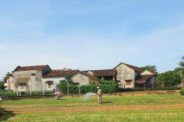 Làng rau hàng trăm năm tuổi hướng đến du lịch canh nông - Anh 1