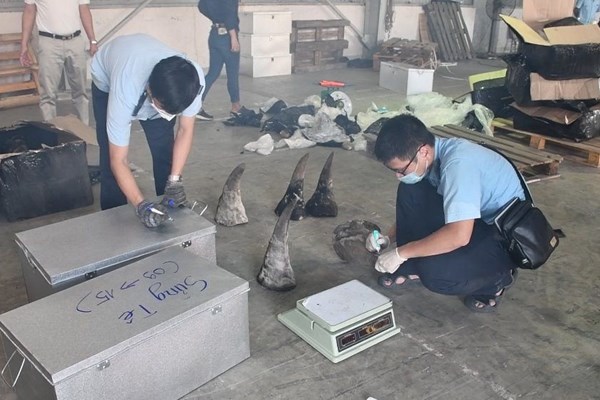 Nhiều thách thức trong việc xử lý tội phạm về động vật hoang dã - Anh 1