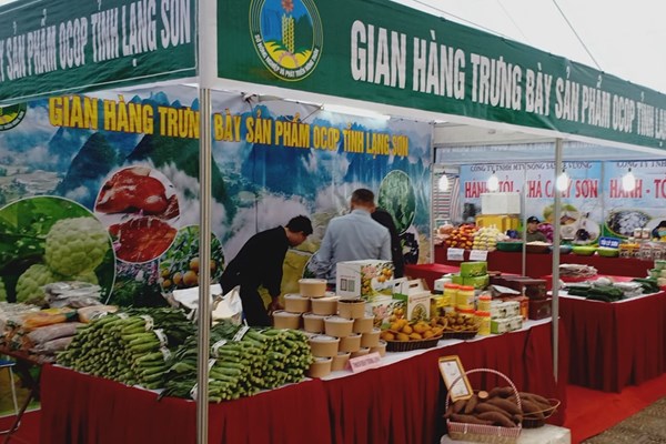 Đẩy mạnh tăng cường kết nối và quảng bá, phân loại các sản phẩm OCOP - Anh 1