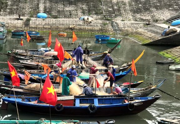 Dân xứ đảo chuyển đổi nghề thích ứng với đại dịch - Anh 1