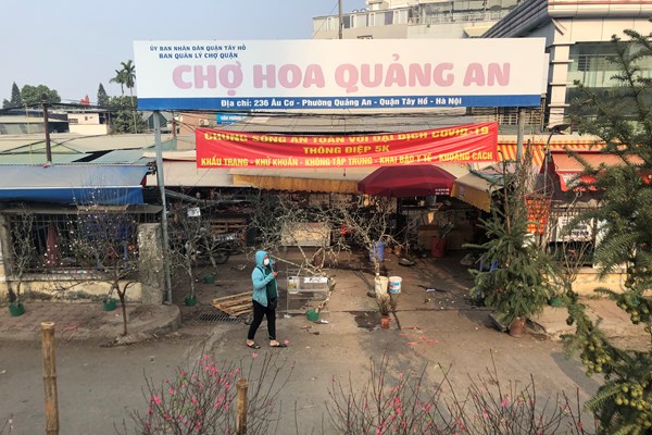 Sắc đào nở rộ tại chợ hoa Quảng An trước thềm năm mới - Anh 1