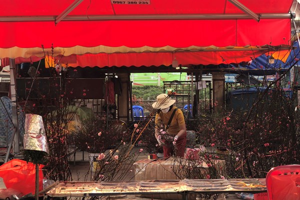 Sắc đào nở rộ tại chợ hoa Quảng An trước thềm năm mới - Anh 7