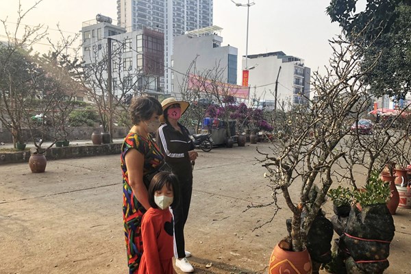 Sắc đào nở rộ tại chợ hoa Quảng An trước thềm năm mới - Anh 8