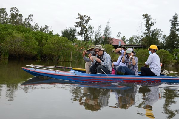 Hồi sinh rừng ngập mặn - Anh 2