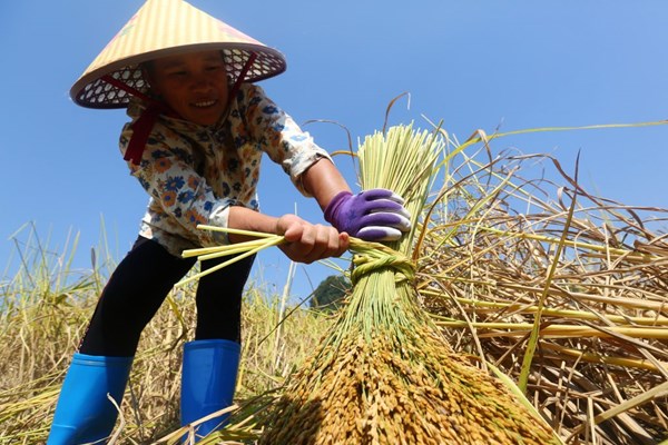 Triển lãm ảnh Nhân quyền 2021 