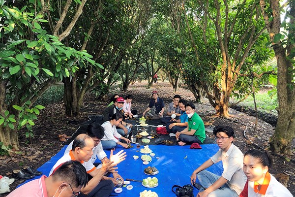 Nỗ lực phục hồi du lịch ngay trên “sân nhà” - Anh 2