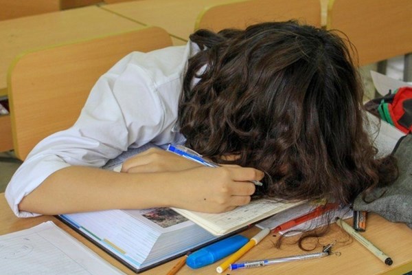 Stress do học trực tuyến: Cảnh báo khủng hoảng tâm lý học đường - Anh 1
