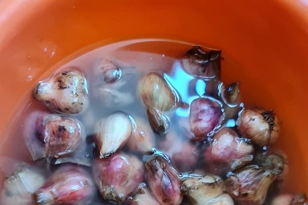 Dưa, hành muối - Anh 4