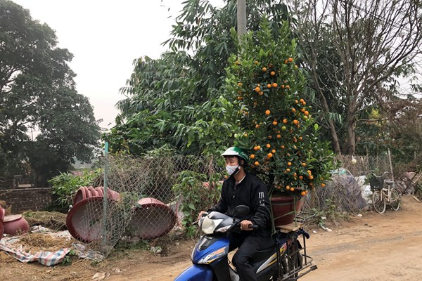 Mưu sinh trong những ngày cận Tết - Anh 1