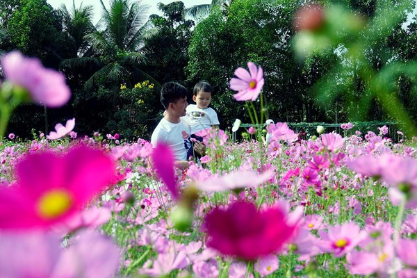 Dồn sức cho tour mùa xuân - Anh 1