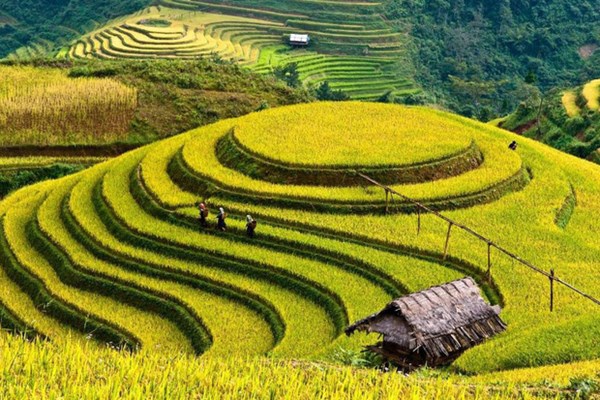 Mường Lò níu bước chân người - Anh 2
