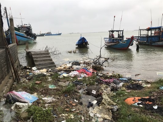 Xử lý nghiêm mọi hành vi gây ô nhiễm môi trường - Anh 1