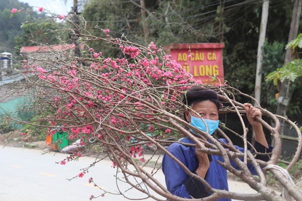 Ngẩn ngơ trước vẻ đẹp của hoa đào xứ Lạng - Anh 11