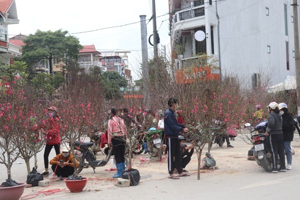 Ngẩn ngơ trước vẻ đẹp của hoa đào xứ Lạng - Anh 13
