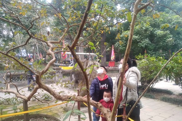 Dòng người đổ về Lam Kinh lễ đầu năm Nhâm Dần - Anh 2