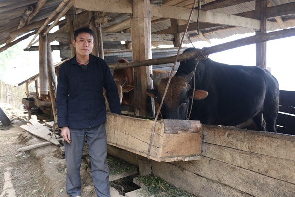 Những lá đơn xin thoát nghèo đầu tiên ở vùng cao Mèo Vạc: “Còn tư tưởng ỷ lại thì nghèo mãi” - Anh 2