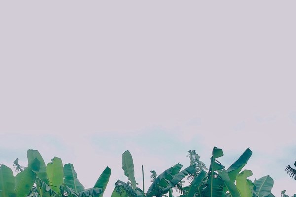 Sức bật của những sản phẩm “không đụng hàng” - Anh 2