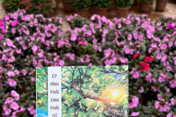 “Ép mình phải xinh phải dữ” - Anh 1