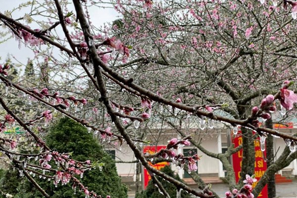 Băng giá xuất hiện trên diện rộng tại huyện Mèo Vạc - Anh 6