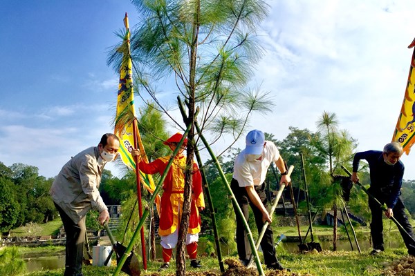 Trồng thêm 300 cây xanh ở quần thể di tích lăng Gia Long - Anh 1