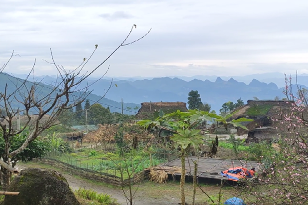 Mái nhà rêu xanh đẹp như tranh ở Hà Giang - Anh 1