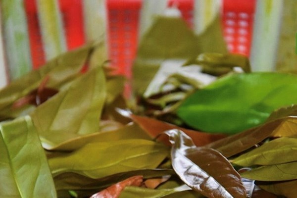 Canh bồi của người M’nông - Anh 2