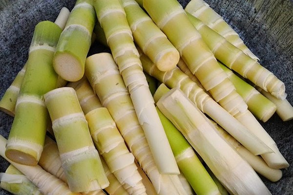 Ong rừng xào măng - Anh 1