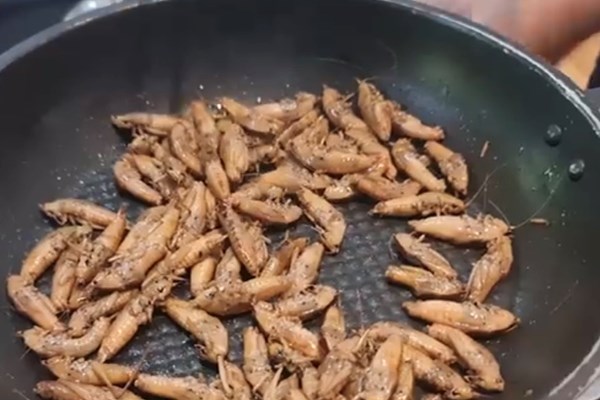 Muồm muỗm rang Mường Lò - Anh 4