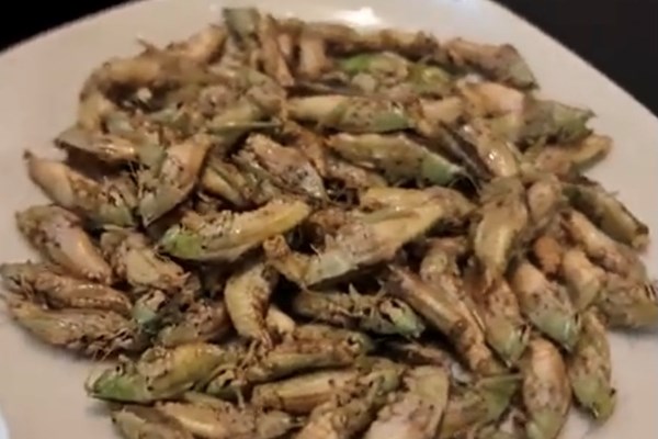 Muồm muỗm rang Mường Lò - Anh 3