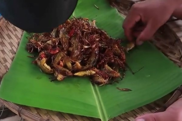 Muồm muỗm rang Mường Lò - Anh 1