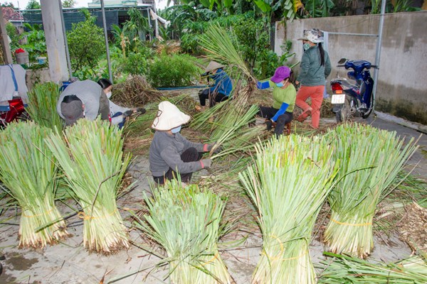 Người đảng viên với nhóm từ thiện xả thân hỗ trợ người dân (Bài 2):  Nắm sả yêu thương - Anh 3