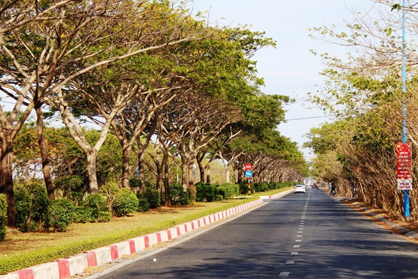 Đảo Gò Găng - điểm check in bình yên mùa đại dịch - Anh 1