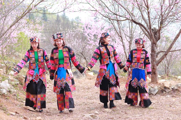 Mê mẩn sắc hoa đào trên cao nguyên đá - Anh 3