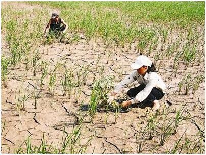 Biến đổi khí hậu và sự bình đẳng của phụ nữ - Anh 1