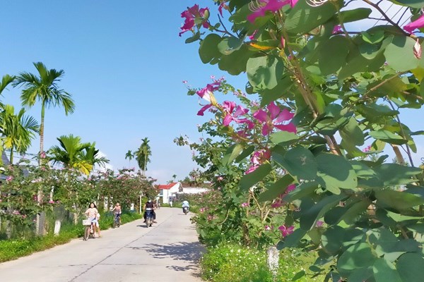 “Hạt nhân” xây dựng văn hóa giao thông - Anh 1