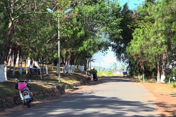 Lâm Đồng tổ chức Tuần lễ vàng Du lịch năm 2022 - Anh 3