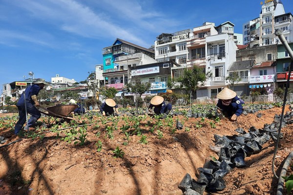 Lâm Đồng tổ chức Tuần lễ vàng Du lịch năm 2022 - Anh 5