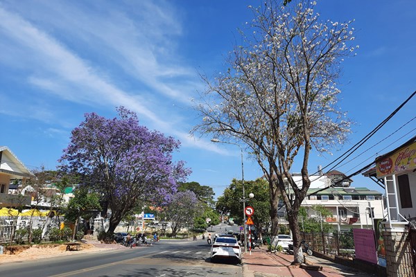 Lâm Đồng tổ chức Tuần lễ vàng Du lịch năm 2022 - Anh 7