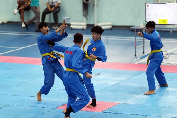 Vovinam khởi động chiến dịch - Anh 1