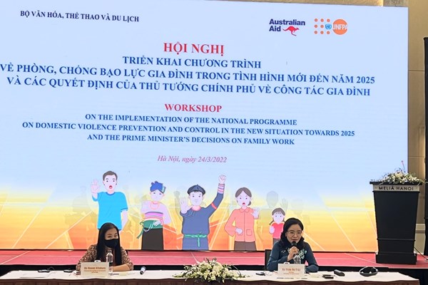 Việt Nam quyết tâm ngăn chặn bạo lực gia đình - Anh 1