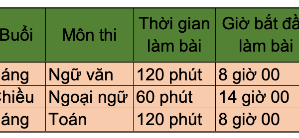 Hà Nội tổ chức thi tuyển sinh vào lớp 10 trong hai ngày 18 và 19.6 - Anh 1